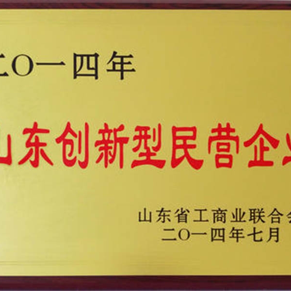 山東創新型民營企業
